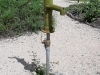 2020-Kreutergarten-01