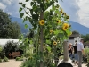 2020-Kreutergarten-06