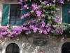 Standgas-Gardasee-33
