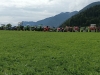 2022-Almabtrieb-Haaserwirt-21